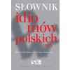 Słownik idiomów polskich