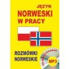 Język norweski w pracy. Rozmówki norweskie + CD