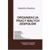 Organizacja pracy małych zespołów EKONOMIK