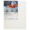 Podobrazie malarskie 24x30 ASTRA