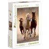 Puzzle 1000 HQ Running horses