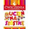 Uczeń na szóstkę. Ćw do Naszego elementarza cz.4