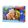 Puzzle 180 Imbirowy kotek CASTOR