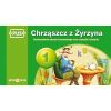 PUS Chrząszcz z Żyrzyna 1