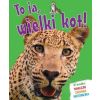 To ja, wielki kot!