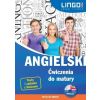 Angielski. Ćwiczenia do matury. Książka+CD