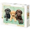 Puzzle 1000 HQ I tre Labrador