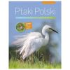 Encyklopedia ilustrowana. Ptaki Polski