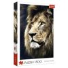 Puzzle 1500 Portret lwa TREFL