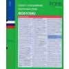 Czasy i czasowniki błyskawicznie. Rosyjski