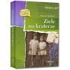 Ziele na kraterze z oprac. GREG