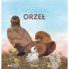 Dzikie zwierzęta w naturze. Orzeł