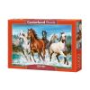 Puzzle 2000 Call of Nature CASTOR
