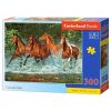 Puzzle 300 Cascade Run CASTOR