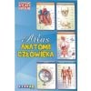 Ilustrowany atlas szkolny.Atlas anatomii człowieka