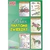 Ilustrowany atlas szkolny. Atlas anatomii zwierząt
