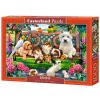 Puzzle 1000 Pets in the Park CASTOR