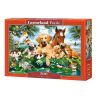 Puzzle 500 Summer Pals CASTOR