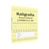 Kaligrafia zeszyt ćwiczeń Litery kl. 1-3