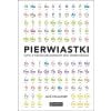 Pierwiastki, czyli z czego zbudowany jest..