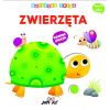 Motoryka smyka. Zwierzęta