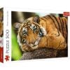 Puzzle 500 Portret tygrysa TREFL