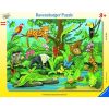 Puzzle 11 Co tu pasuje? Zwierzęta lasu deszczowego