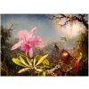 Puzzle 1000 Orchidea Cattleya i trzy kolibry