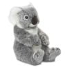 Koala 22 WWF