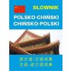 Słownik polsko-chiński, chińsko-polski