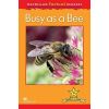 Factual: Busy as a Bee 1+