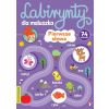 Labirynty dla maluszka. Pierwsze slowa