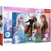 Puzzle 300 Magiczny czas - Disney Frozen 2 TREFL