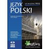 Język polski. Jak analizować prozę