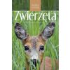 Zwierzęta. Spotkania z przyrodą