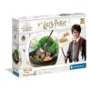 Harry Potter - Terrarium