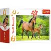 Puzzle 54 mini Świat koni 2 TREFL