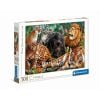 Puzzle 500 HQ Wild Cats