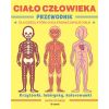 Ciało człowieka