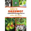 Atlas dla dzieci. Jakie to drzewo?