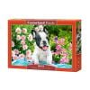 Puzzle 500 French Bulldog Puppy CASTOR