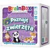 BrainBox - Poznaję zwierzęta REBEL