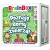 BrainBox - Poznaję domy zwierząt REBEL