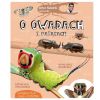 Artur Sawicki opowiada o owadach i pająkach