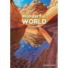Wonderful World 2 WB NE