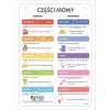 Plakat edukacyjny - Części mowy A3