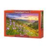 Puzzle 500 Harebells at Sunrise CASTOR