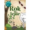 Rok w lesie Kolorowanka