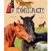 Dorota Kozińska opowiada o koniach w.2