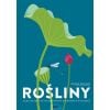 Rośliny. Cuda natury na wyjątkowych ażurowych ryci